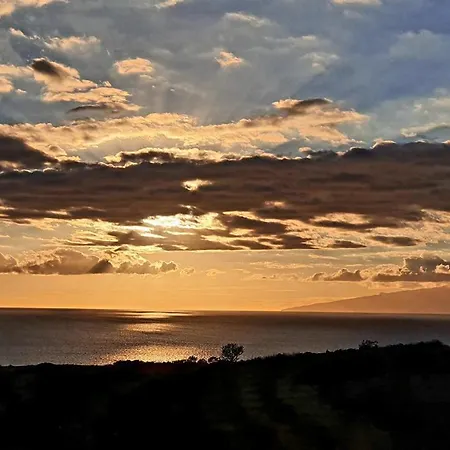 Bungalow Tenerife South *